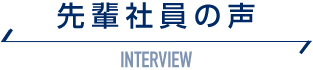 先輩社員の声